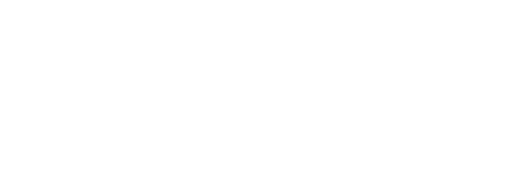 Perfect Pit Logo White-14